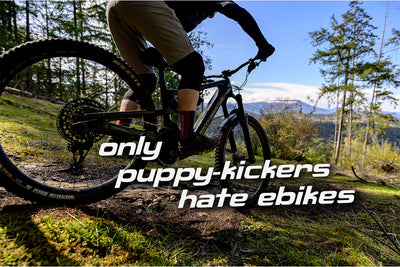 Only Puppy-Kickers Hate Ebikes