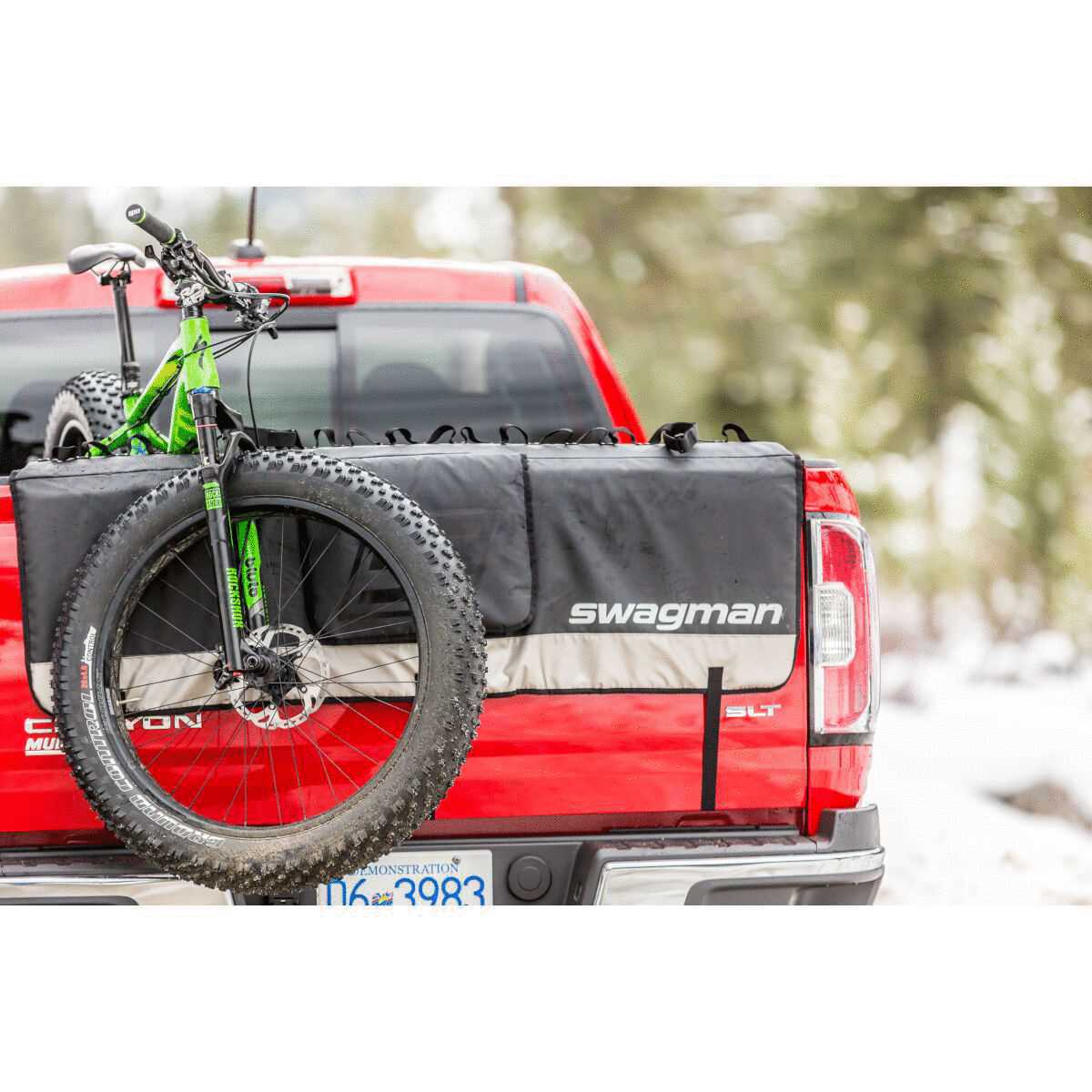 Swagman tailwhip deals